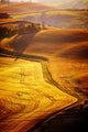 Typical Tuscany Landscape Italy