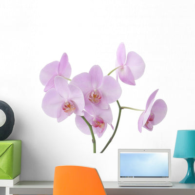 Pink Orchid Flowers Wall Decal shown on a wall
