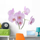Pink Orchid Flowers Wall Decal