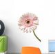 Pink Marigold Flower Wall Decal