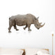 Potrait Of A Rino Wall Decal