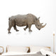 Potrait Of A Rino Wall Decal