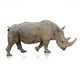 Potrait Of A Rino Wall Decal