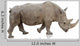 Potrait Of A Rino Wall Decal