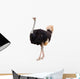 Portrait of a Ostrich Wall Decal