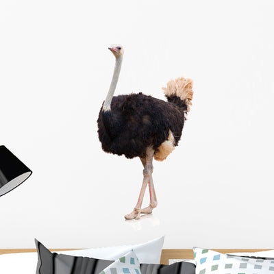 Portrait Ostrich Wall Decal shown on a wall