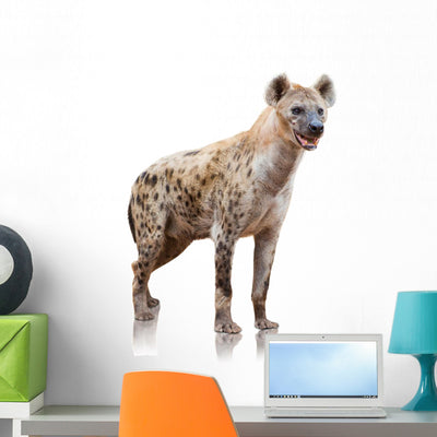 Portrait Hyena Wall Decal shown on a wall