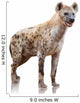 Portrait Of A Hyena Wall Decal