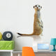 Portrait of A Meerkat Wall Decal