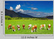 Grazing Cows