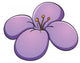 Flower Wall Mural