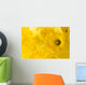 daffodil background Wall Mural