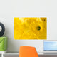 daffodil background Wall Mural