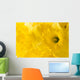 daffodil background Wall Mural