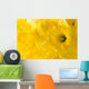 daffodil background Wall Mural