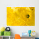 daffodil background Wall Mural