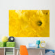 daffodil background Wall Mural