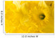 daffodil background Wall Mural