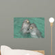 Pareja Delfines