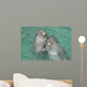Pareja Delfines