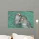 Pareja Delfines