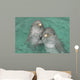 Pareja Delfines