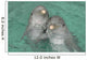 Pareja Delfines