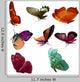 Beautiful Butterflies Wall Stickers