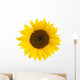 Sunflower Wall Mural