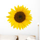 Sunflower Wall Mural