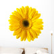 Yellow Daisy Flower Wall Decal