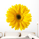 Yellow Daisy Flower Wall Decal