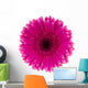 Pink Daisy Flower Wall Decal
