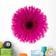Pink Daisy Flower Wall Decal