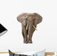 Elephant White Wall Decal