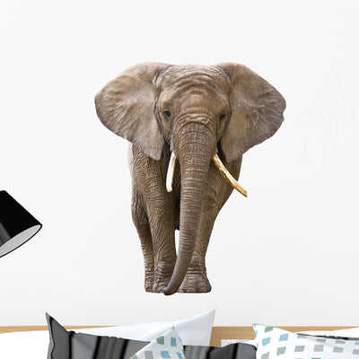 Elephant White Wall Decal shown on a wall
