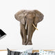 Elephant White Wall Decal