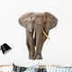 Elephant White Wall Decal