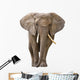 Elephant White Wall Decal