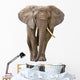 Elephant White Wall Decal