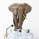 Elephant White Wall Decal