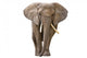 Elephant White Wall Decal