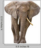 Elephant White Wall Decal