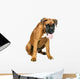 German Boxer Puppy 5