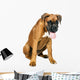 German Boxer Puppy 5