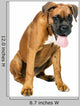 German Boxer Puppy 5