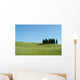 Cipressi Toscana 04 Wall Decal
