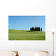 Cipressi Toscana 04 Wall Decal