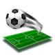 The Green Soccer Field with Lines and Sovver Ball Wall Decal
