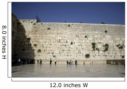men praying next to the wailing wall, jerusalem,israel Wall Mural